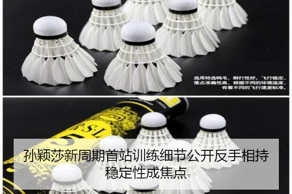 孙颖莎新周期首站训练细节公开反手相持稳定性成焦点